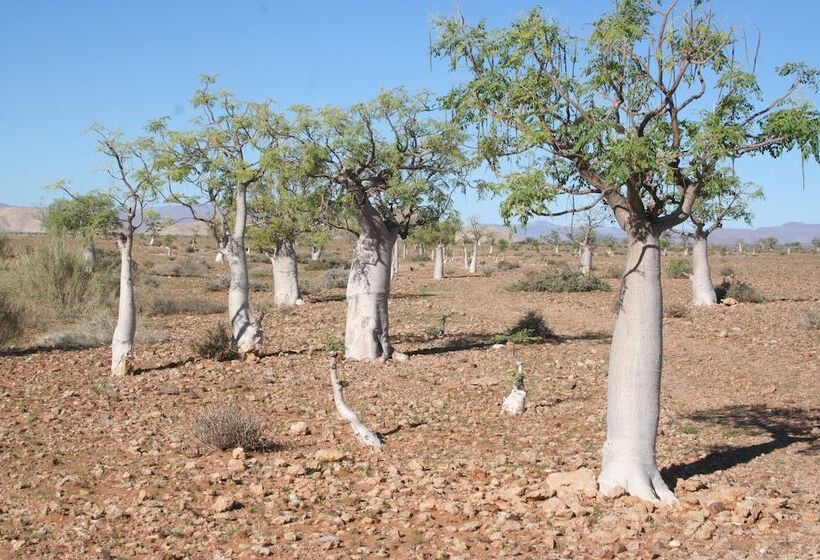 ホテル Soft Adventure Camp