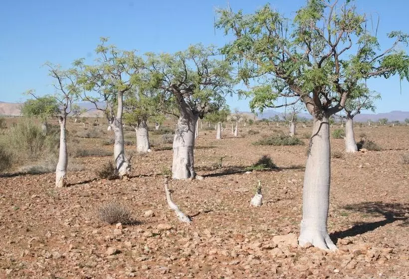 Hotel Soft Adventure Camp