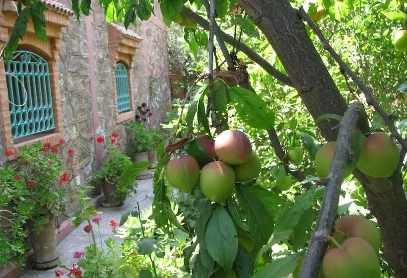 Majatalo Chez Larbi Ourika
