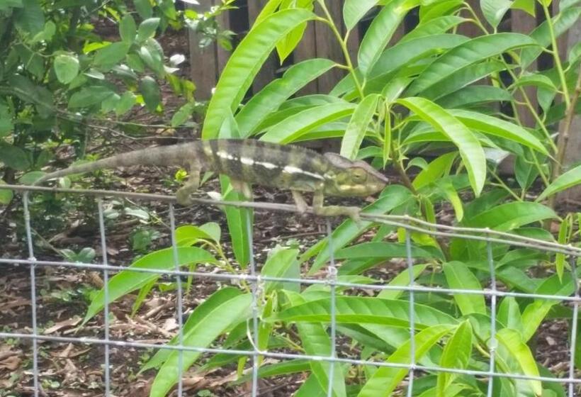 پانسیون Gite Hotel La Caz Des Orangers