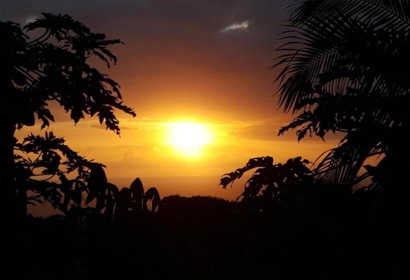 پانسیون Gite Hotel La Caz Des Orangers