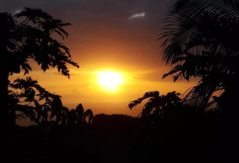 پانسیون Gite Hotel La Caz Des Orangers