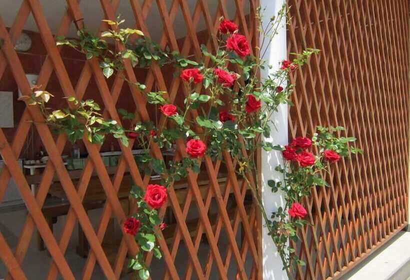 پانسیون Guest House Vesta