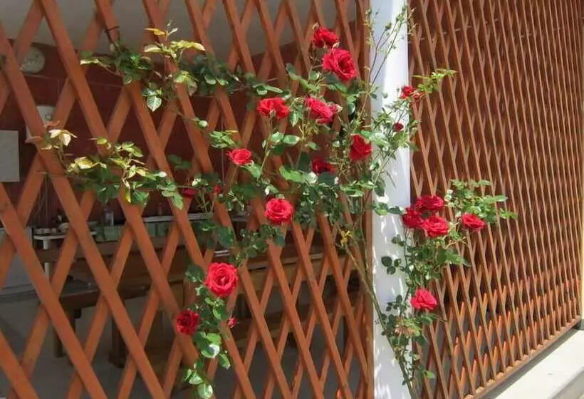 پانسیون Guest House Vesta