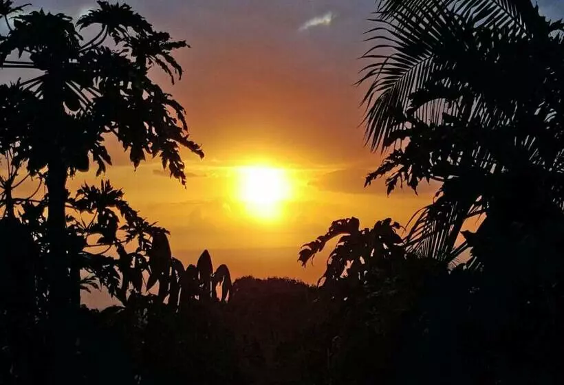 پانسیون Gite Hotel La Caz Des Orangers