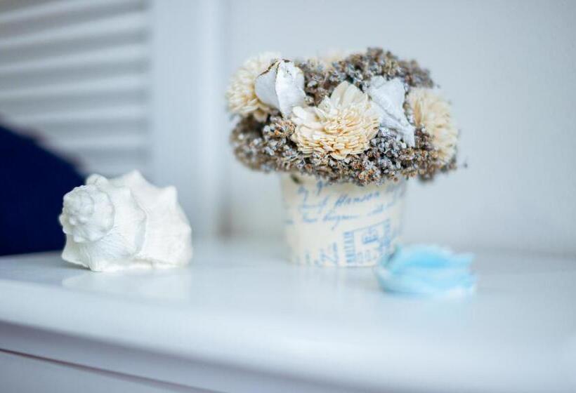 6 In Centro Guest House