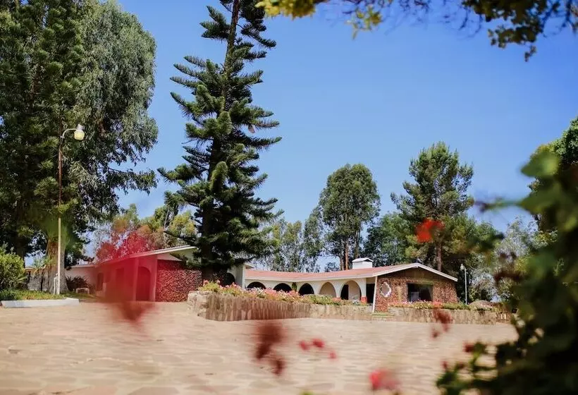 ベッドアンドブレックファースト Rancho El Parral