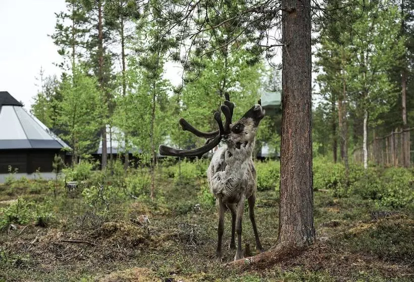 ホテル Aurora Village Ivalo