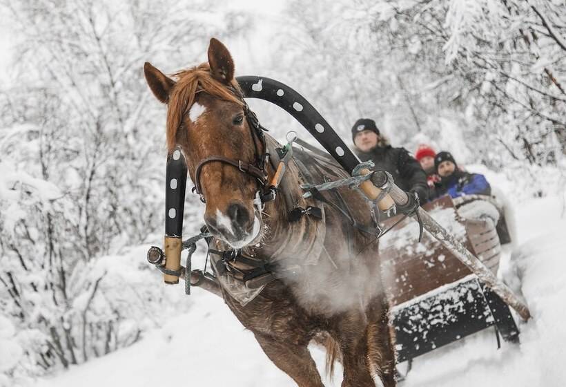 ホテル Aurora Village Ivalo