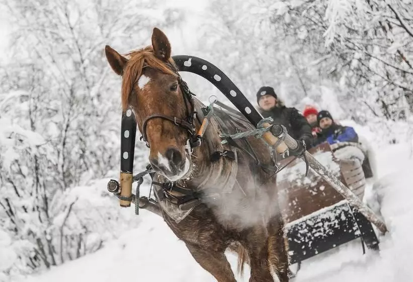 ホテル Aurora Village Ivalo