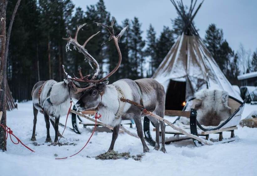 ホテル Aurora Village Ivalo