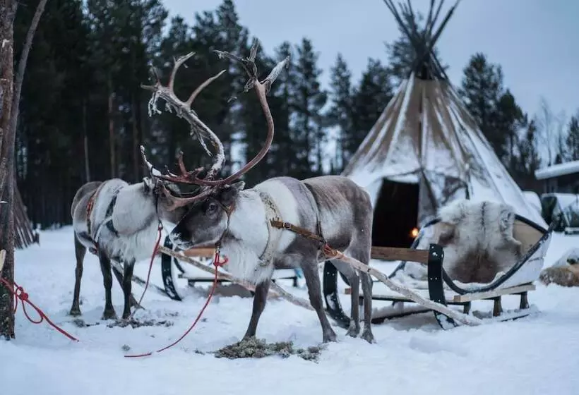 ホテル Aurora Village Ivalo