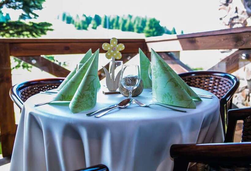 Horsky Hotel Encian Donovaly