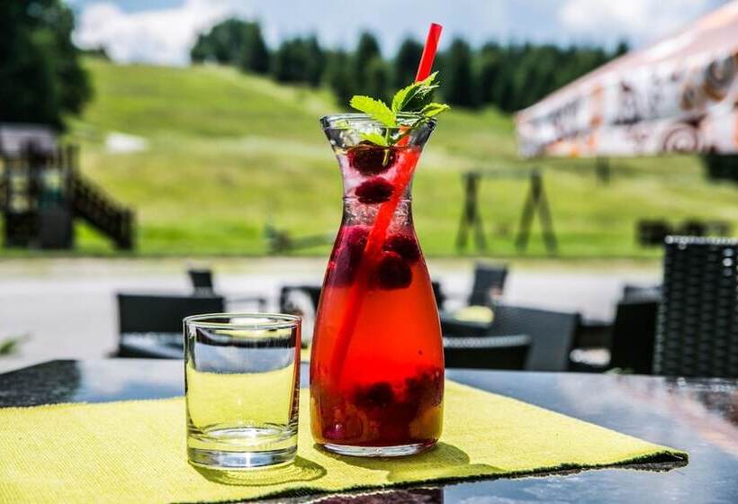 Horsky Hotel Encian Donovaly