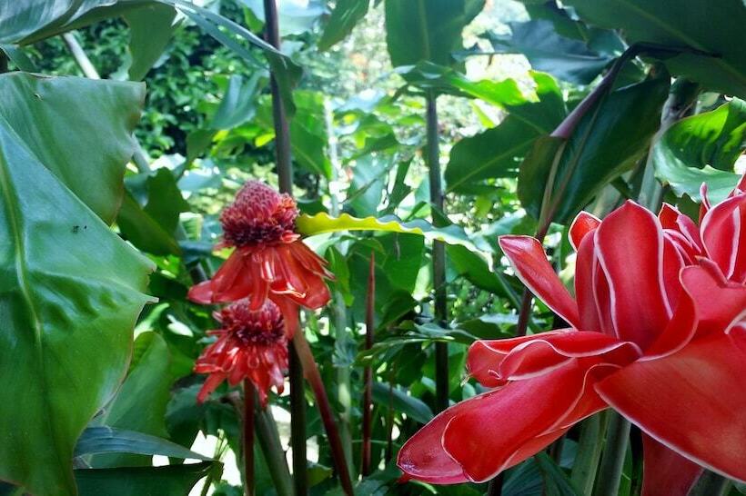 فندق Rancho De Lelo Ecolodge