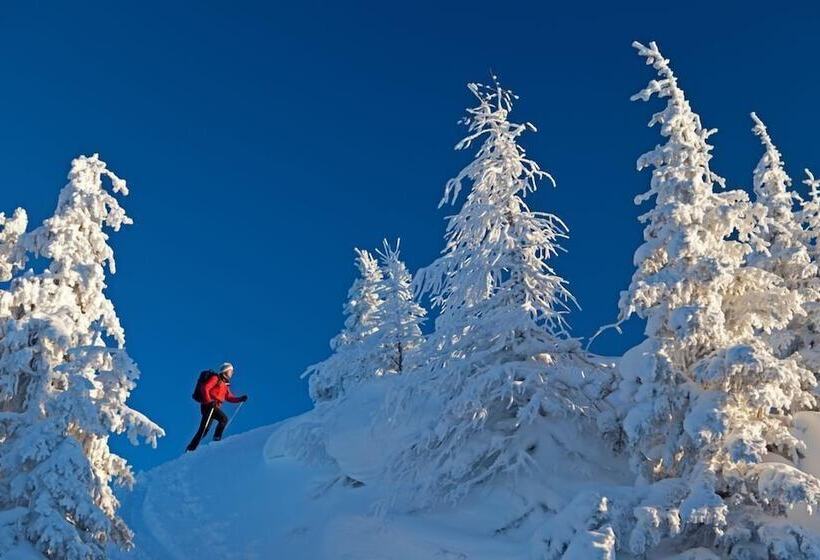 Pensionat Landhaus Kirchgasser