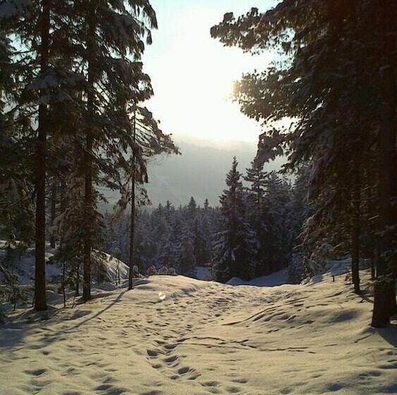 Pensionat Landhaus Kirchgasser