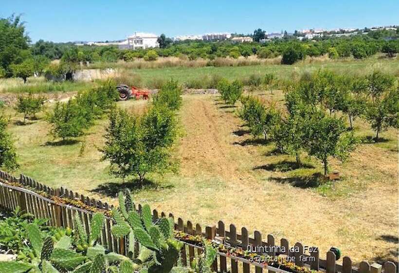 Pensione Quintinha Da Foz Guest House