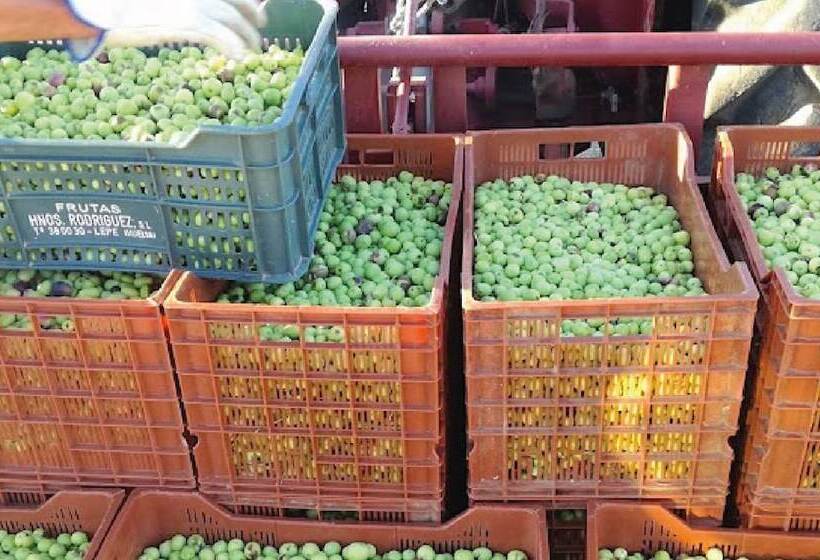 Pensione Quintinha Da Foz Guest House