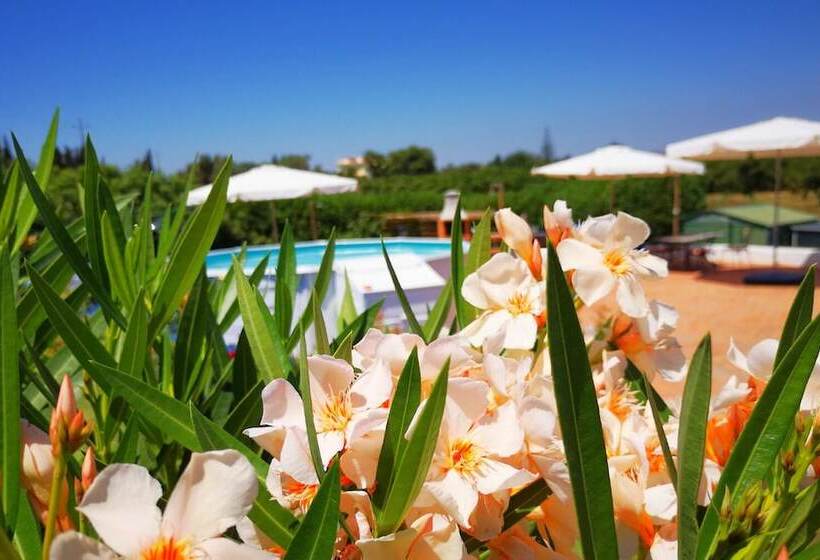 Pensione Quintinha Da Foz Guest House