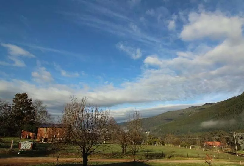 3 Bells Alpine Cottage