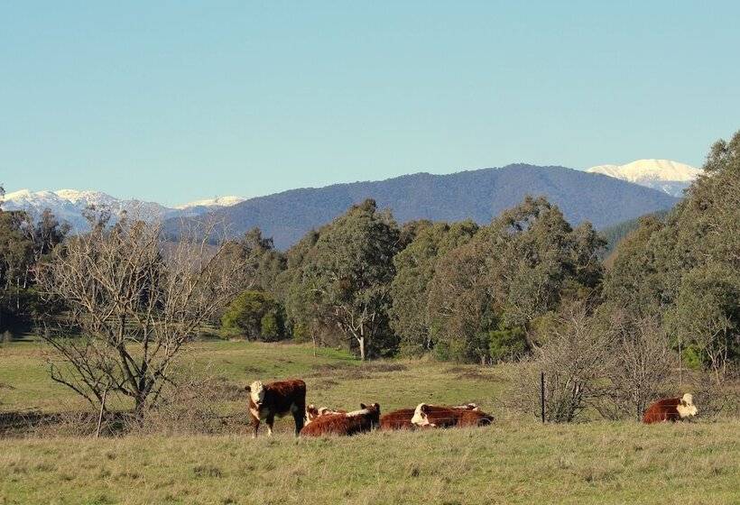 3 Bells Alpine Cottage