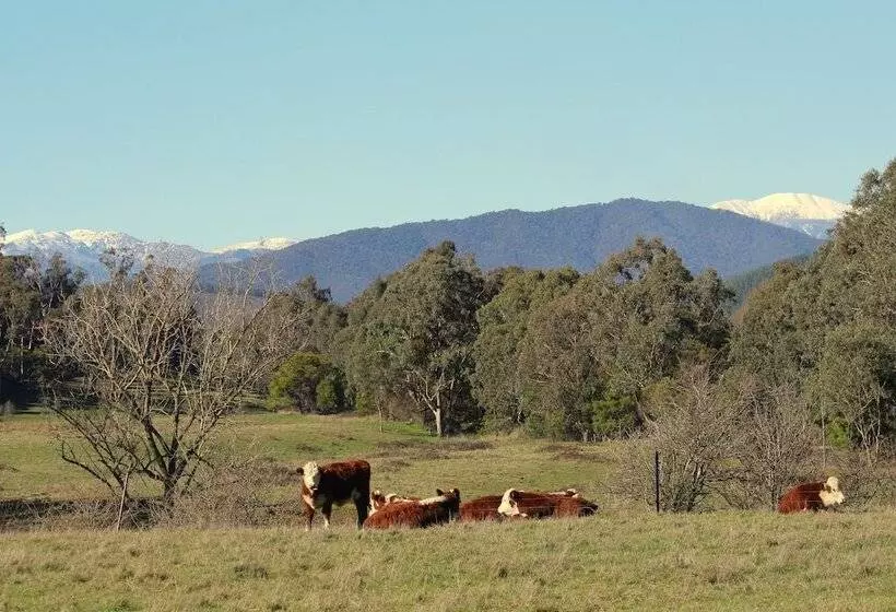 3 Bells Alpine Cottage