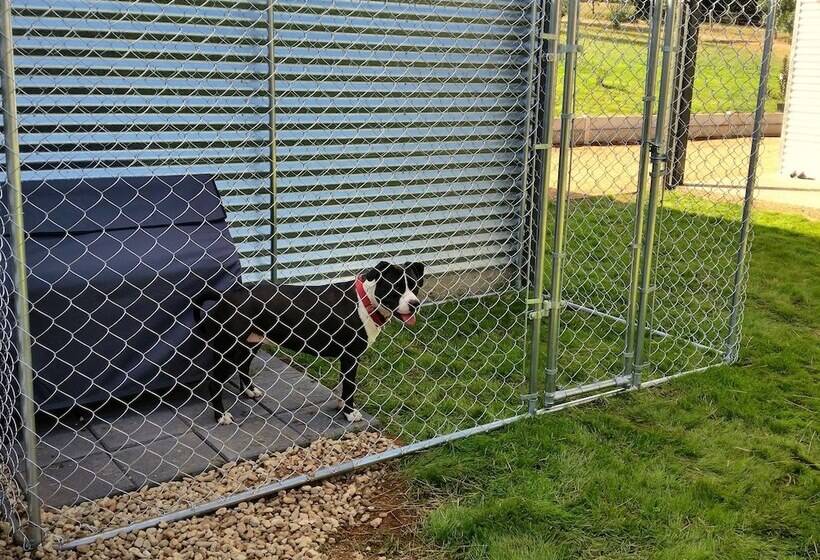 3 Bells Alpine Cottage