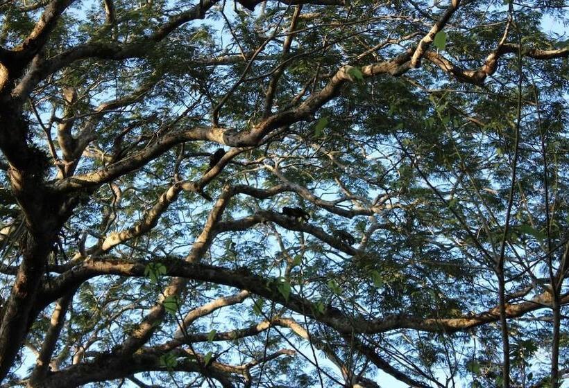 هتل Mombacho Lodge