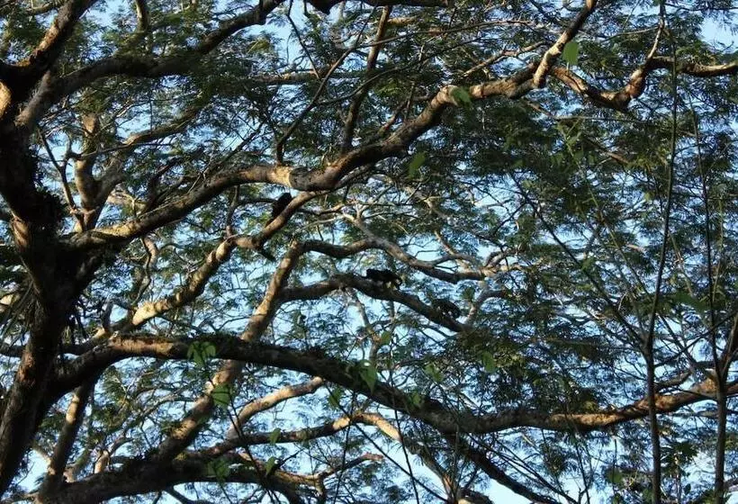 هتل Mombacho Lodge