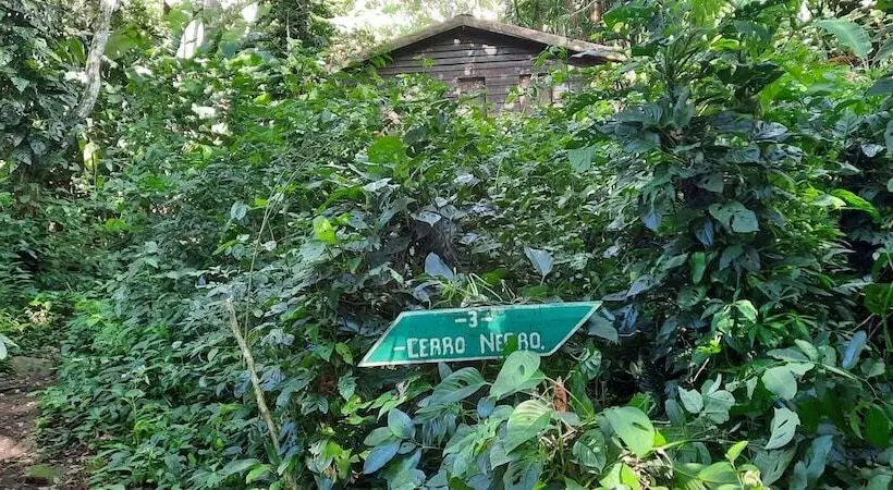 هتل Mombacho Lodge