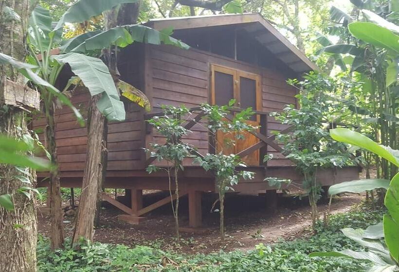 هتل Mombacho Lodge