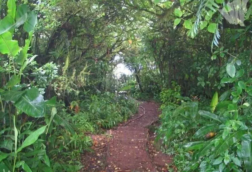 هتل Mombacho Lodge