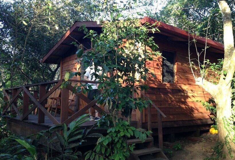 هتل Mombacho Lodge