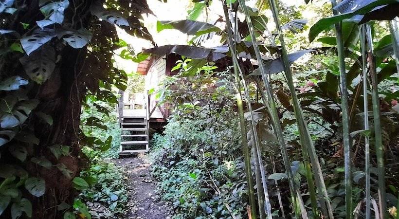 هتل Mombacho Lodge