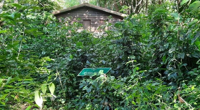 هتل Mombacho Lodge