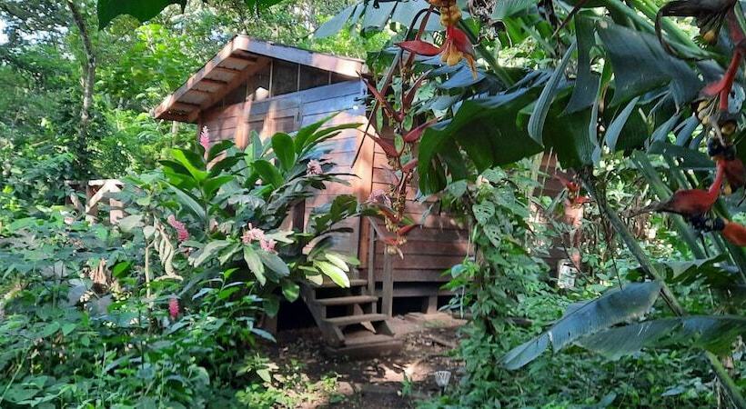 هتل Mombacho Lodge