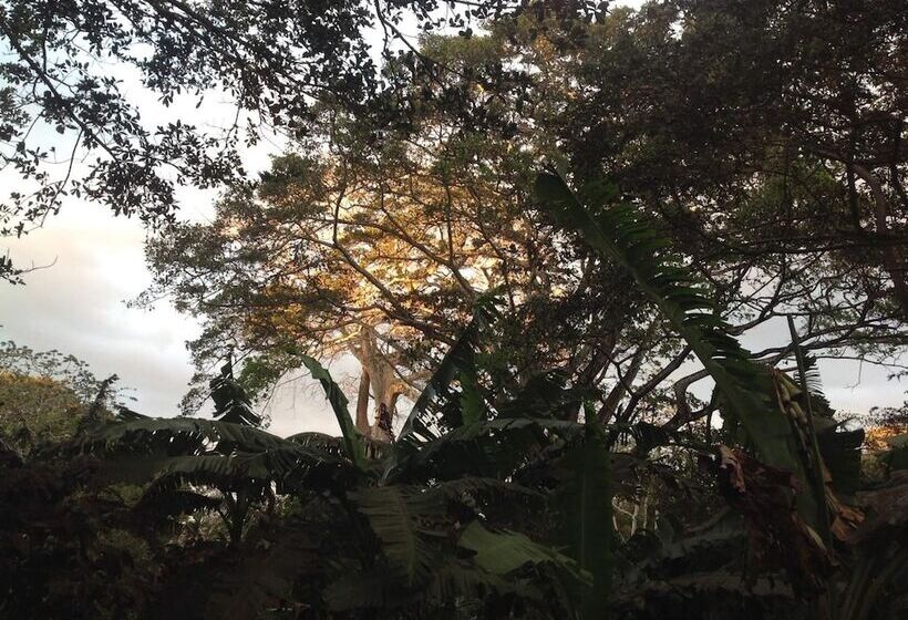 هتل Mombacho Lodge