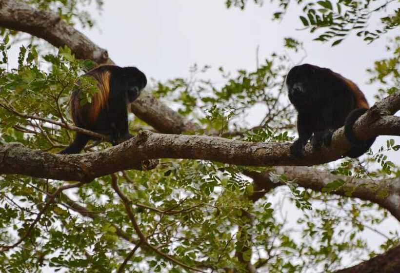 هتل Mombacho Lodge