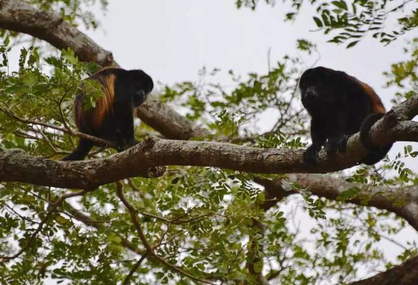هتل Mombacho Lodge