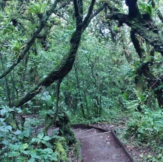 هتل Mombacho Lodge