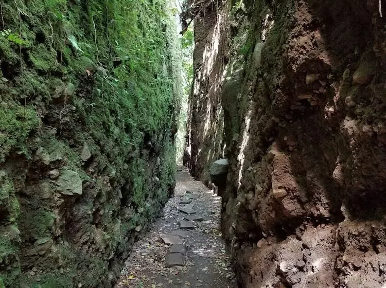 هتل Mombacho Lodge