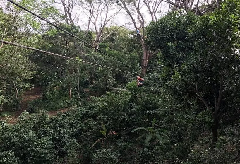 هتل Mombacho Lodge