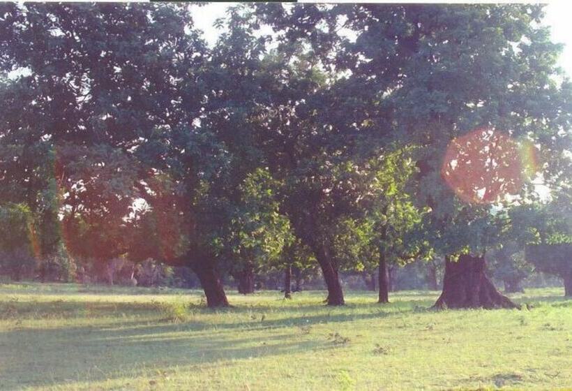 Junglemantra Resorts