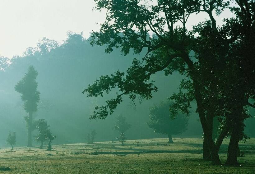 Junglemantra Resorts