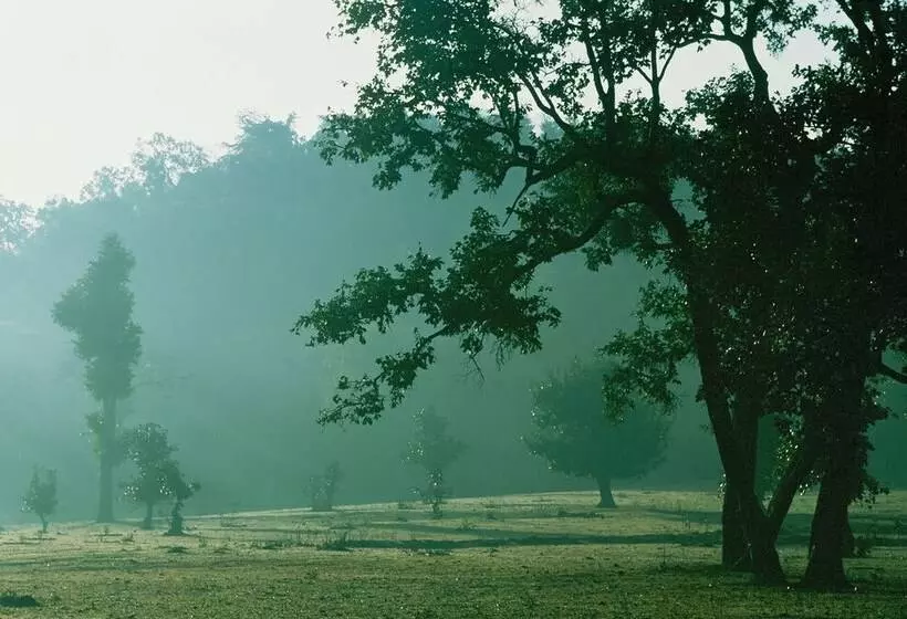 Junglemantra Resorts