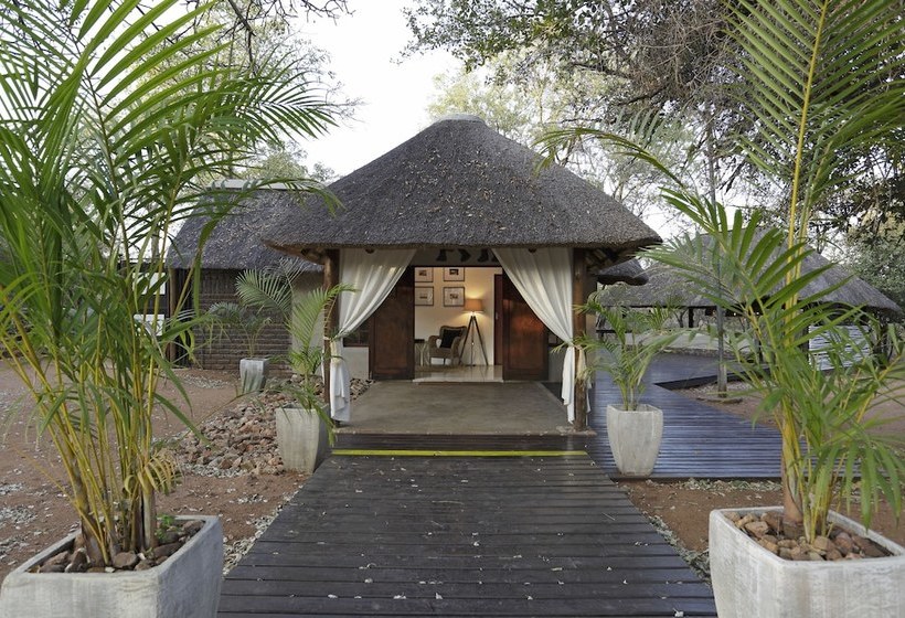 Hotell Tusk Bush Lodge