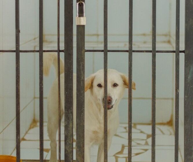 Hotel Urbanest Inn House Tb Simatupang