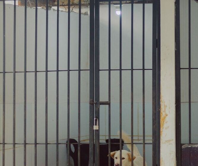 Hotel Urbanest Inn House Tb Simatupang