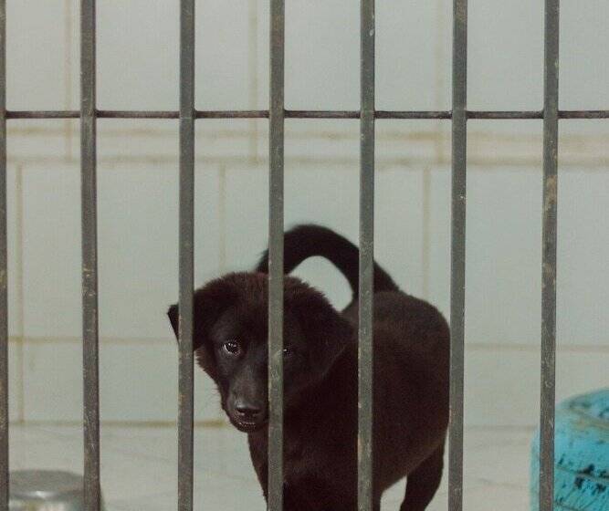 Hotel Urbanest Inn House Tb Simatupang